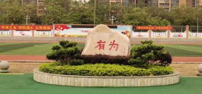 广州市增城区小学优秀学生,广州增城区小学前十名