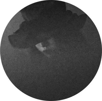 鍞辩墖璁捐瑙嗛,鍞辩墖璁捐鍒涙剰