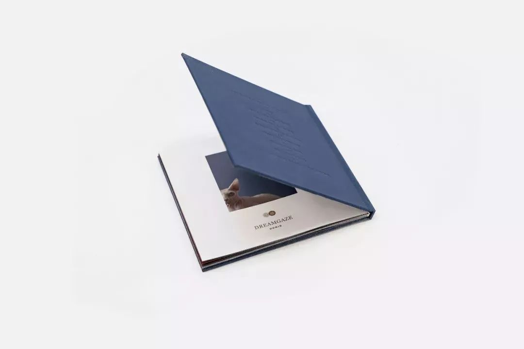 鍞辩墖璁捐瑙嗛,鍞辩墖璁捐鍒涙剰