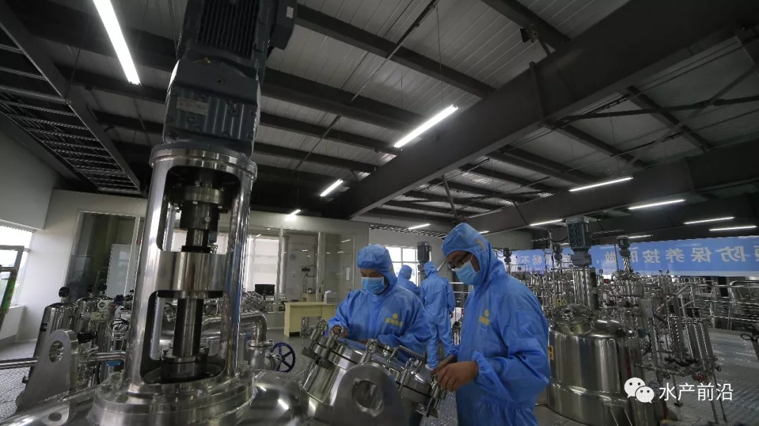 距离2020年禁抗只剩两个月，拿什么替抗？