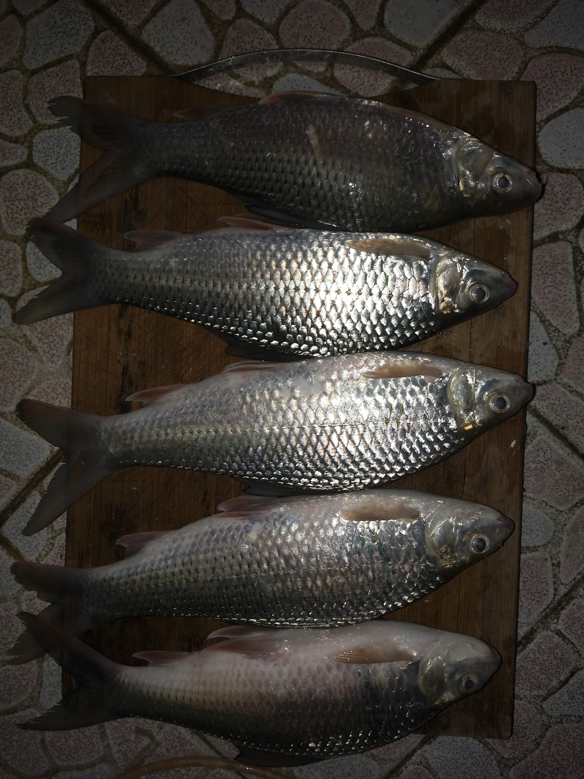 老少皆宜！家庭版豆豉鲮鱼的制作全过程