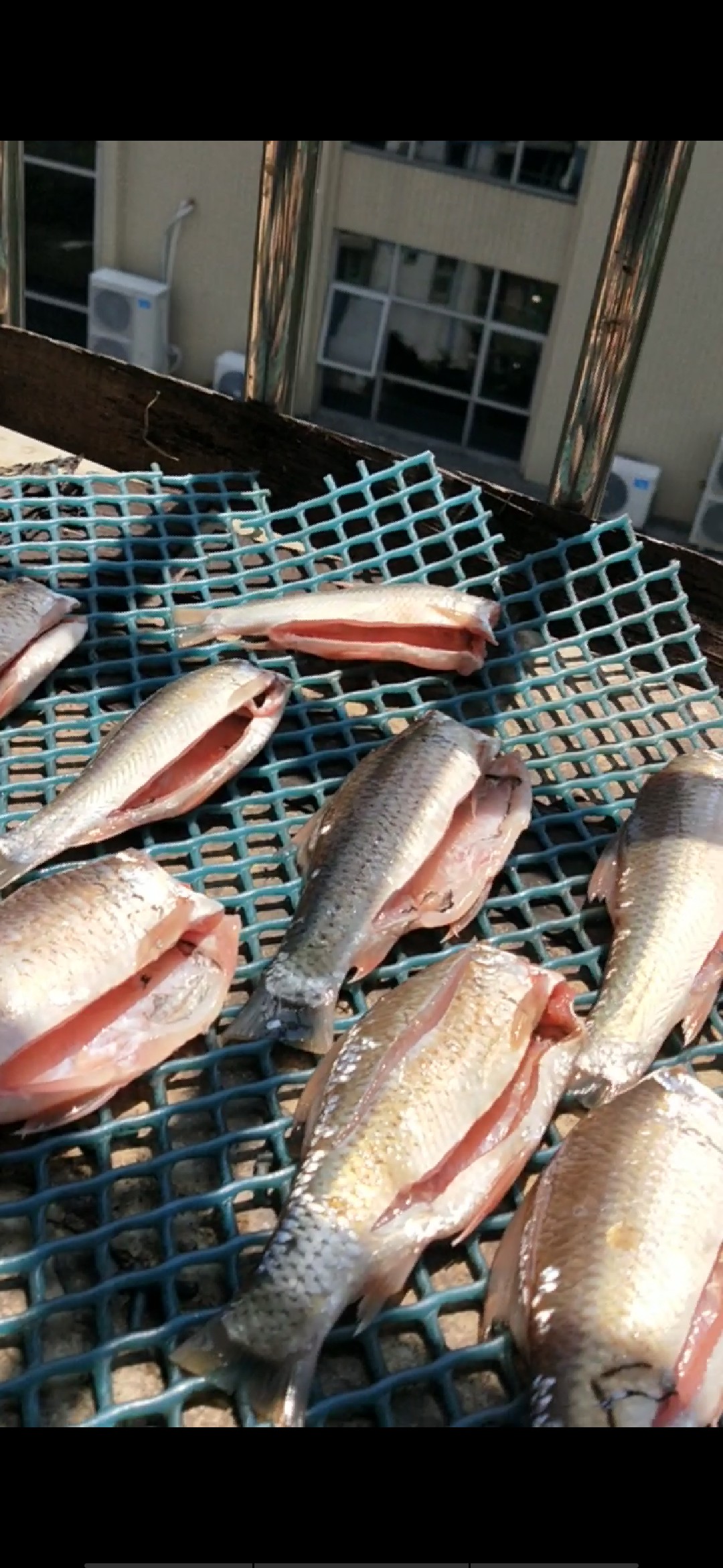 老少皆宜！家庭版豆豉鲮鱼的制作全过程
