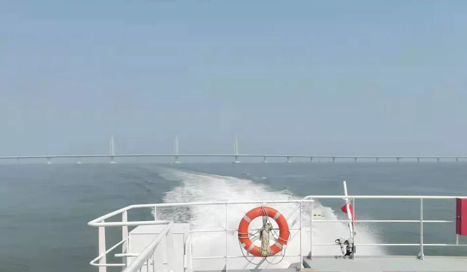 东莞去澳门怎么去最方便,澳门最新通关流程