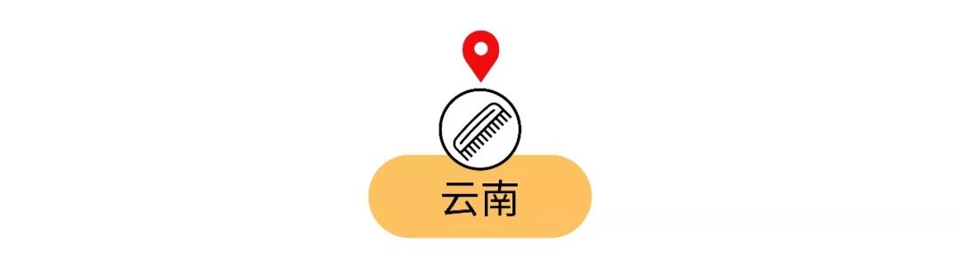 脑子进水才买的车,去国外必买的十种纪念品