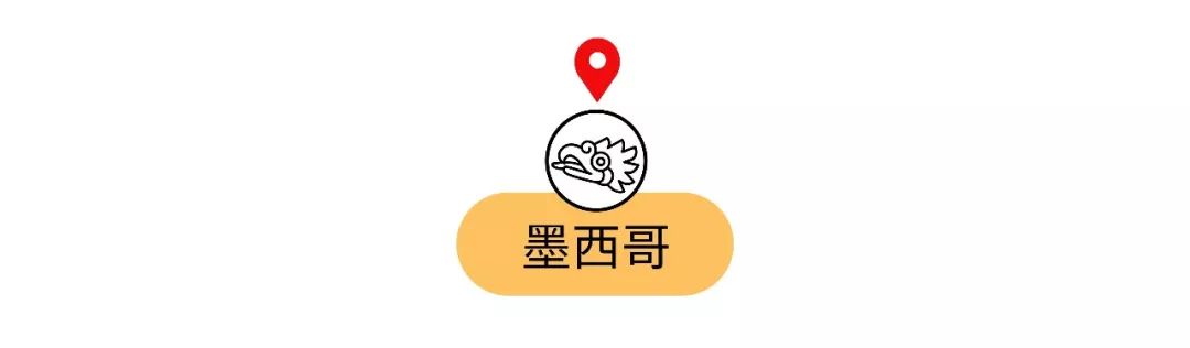 脑子进水才买的车,去国外必买的十种纪念品