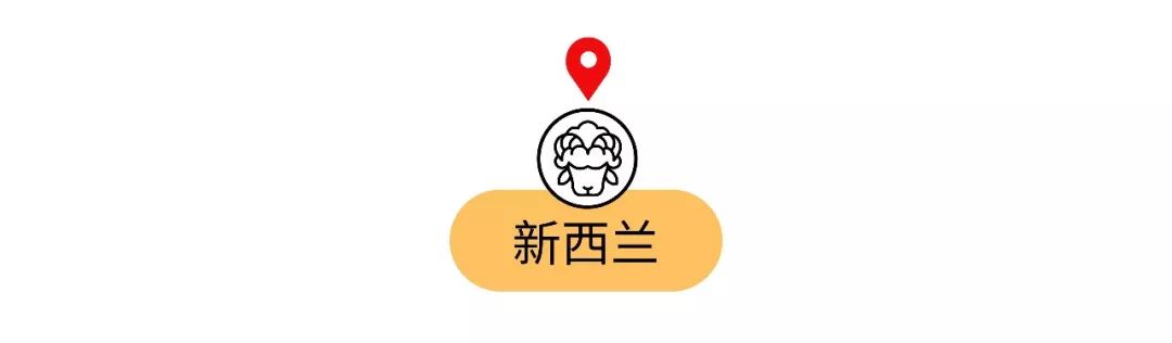 脑子进水才买的车,去国外必买的十种纪念品