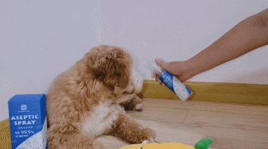 防止细菌感染喷雾,每天喷什么能消毒防感染