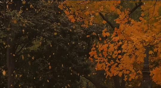 10月19日,到北京朝阳公园,来一场MINI酷跑吧