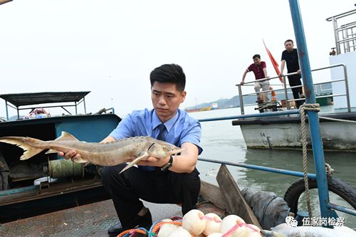 “护江”检察官的“大鱼梦”