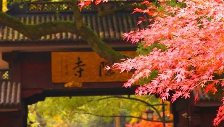 耗时3年的花间堂创始人新作，以船代步揭开杭城小众一面