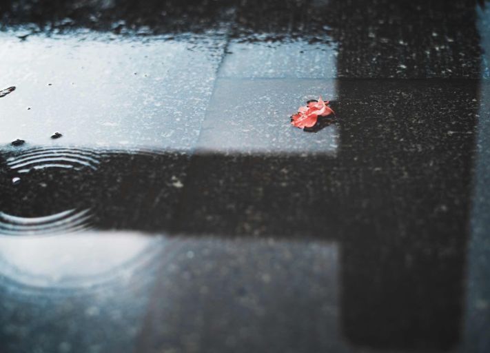 耗时3年的花间堂创始人新作,以船代步揭开杭城小众一面