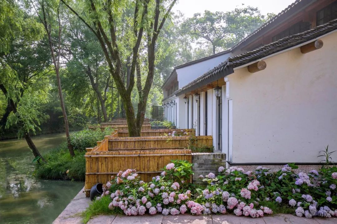 耗时3年的花间堂创始人新作,以船代步揭开杭城小众一面