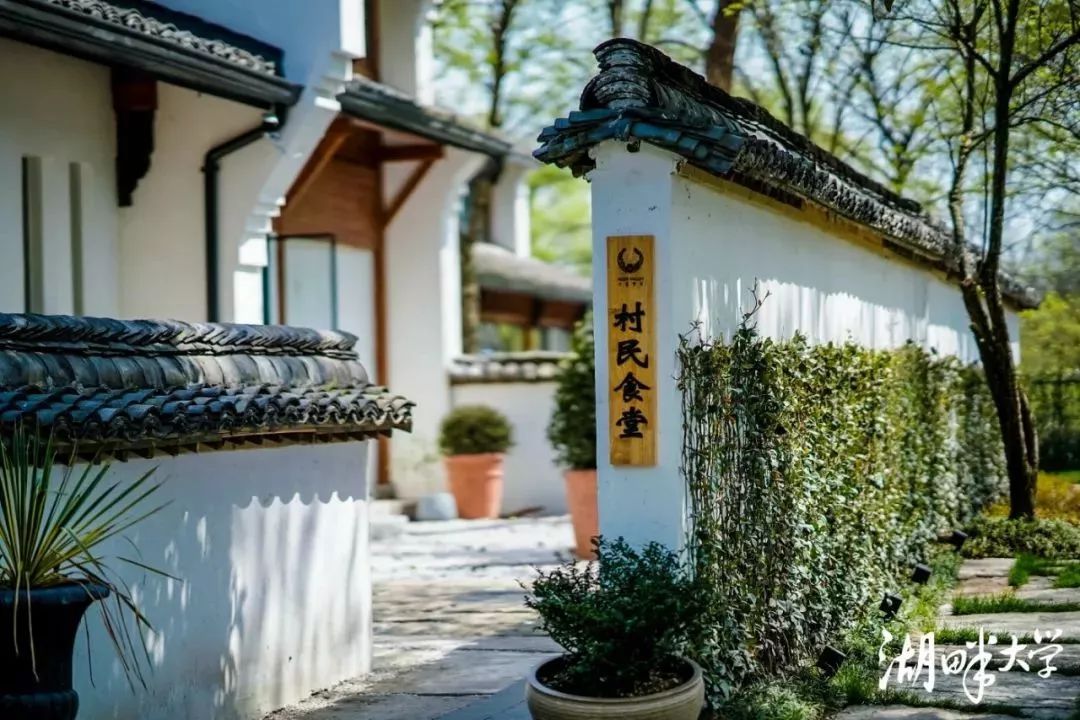 耗时3年的花间堂创始人新作，以船代步揭开杭城小众一面