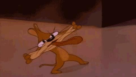 鼠年老鼠进了家,关于鼠年的老鼠