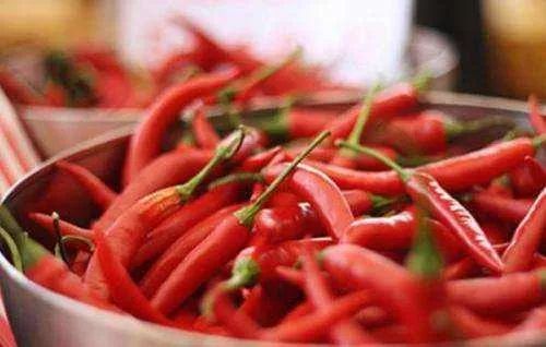 嘴唇干裂脱皮用什么润唇膏好,嘴巴一直脱皮干裂可以用润唇膏吗