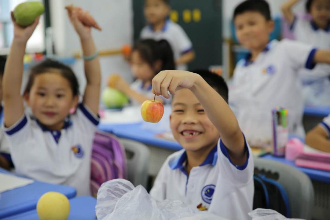 杭州市清廉教育案例,浙江清廉教育