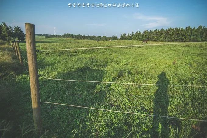 免签飞机票便宜的国家,免签机票便宜吗