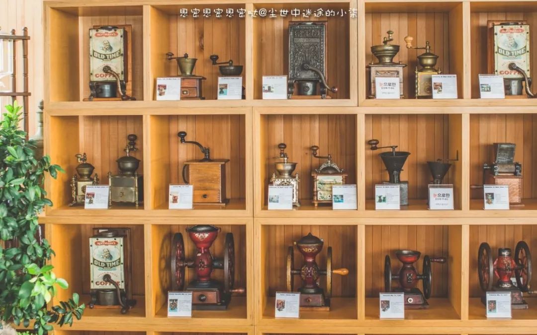 免签飞机票便宜的国家,免签机票便宜吗