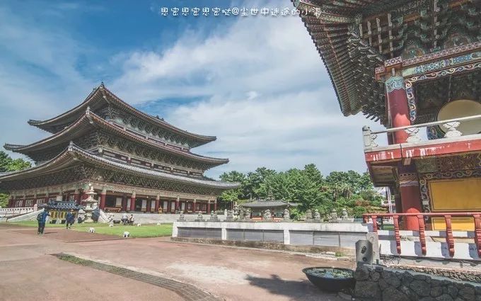 免签飞机票便宜的国家,免签机票便宜吗