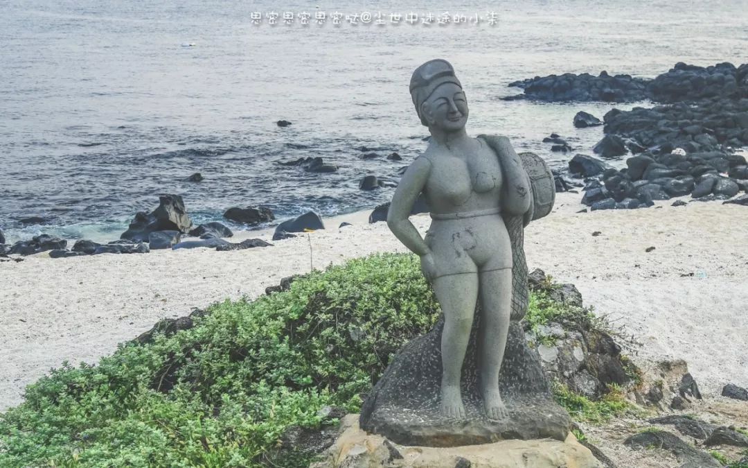 免签飞机票便宜的国家,免签机票便宜吗