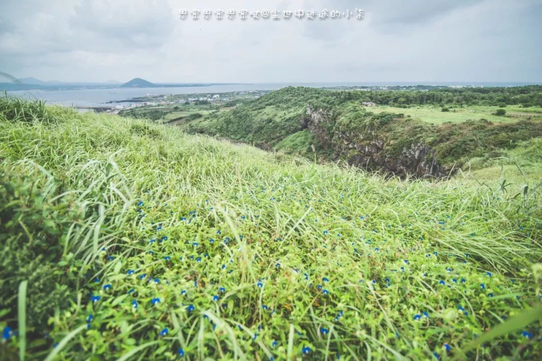 免签飞机票便宜的国家,免签机票便宜吗