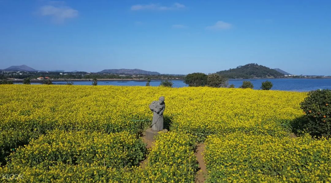 免签飞机票便宜的国家,免签机票便宜吗