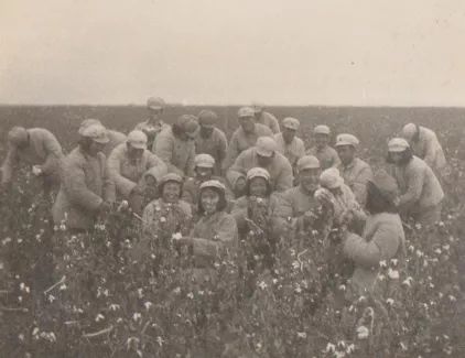 澹附涓冨崄骞磋嚧鏁柊鏃朵唬,澹附70骞磋嚧鏁柊鏃朵唬