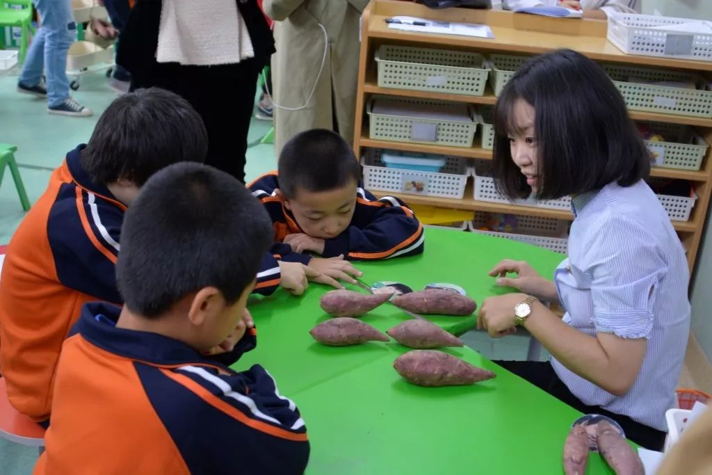 「速递」2019智障教育年会圆满结束，参会代表现场取经全国培智教育课程改革领头雁北京市朝阳区安华学校，反响热烈