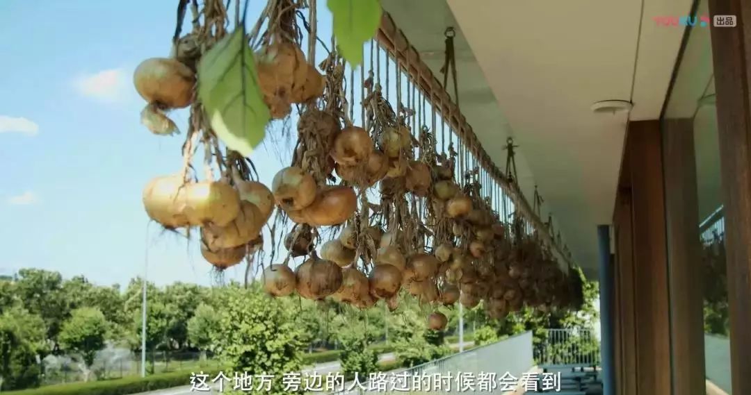 日本诺贝尔奖多少,日本19年诺贝尔奖