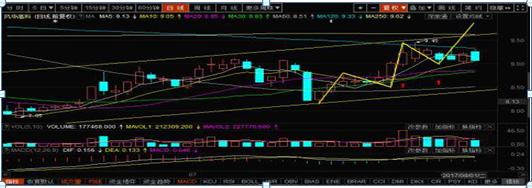 持有中石油股票靠分红能回本吗,股民48元买入中石油