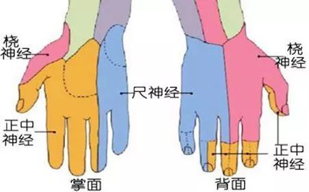 男孩午睡时腿麻倒地后又睡着,睡一觉桡神经损伤