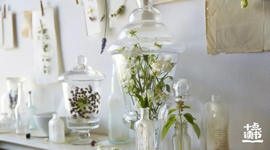 静下来的力量什么意思,静下来的力量是什么