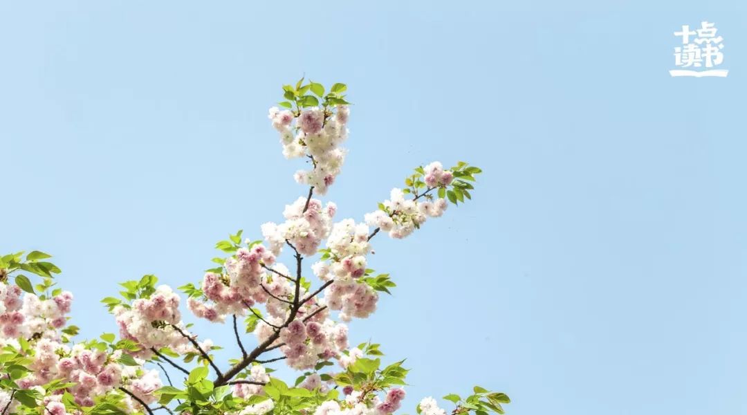 微信新功能揭露成年人社交,微信被限制社交聊天功能