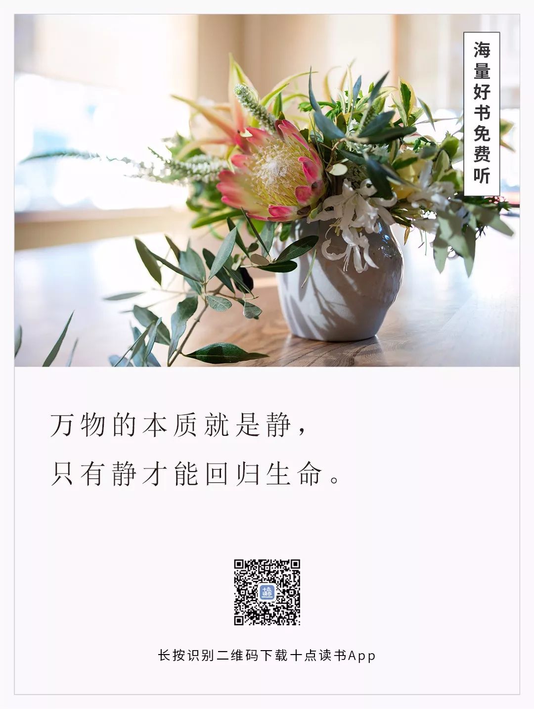 静下来的力量什么意思,静下来的力量是什么