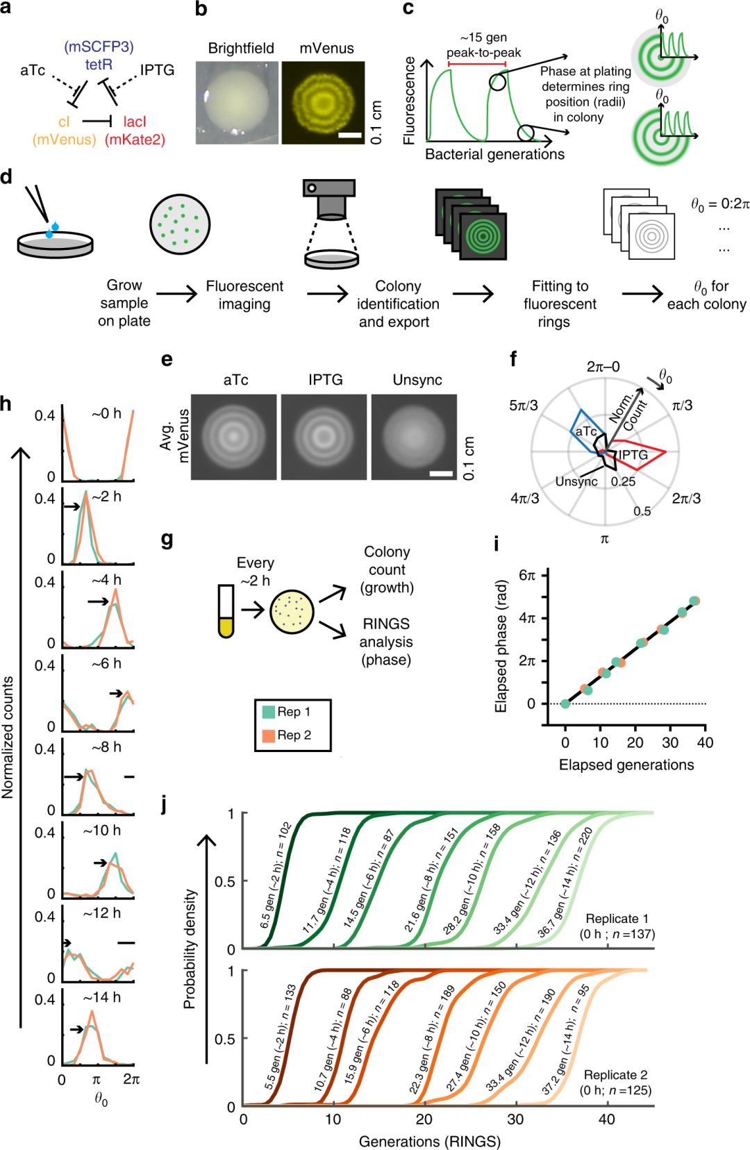 Gastroenterology封面：双歧杆菌可防治阿司匹林引起的溃疡；胶带测儿童湿疹|知几研究速递Vol.33