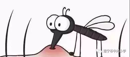 预防登革热致家长的一封信,通知家长做好预防登革热的通知