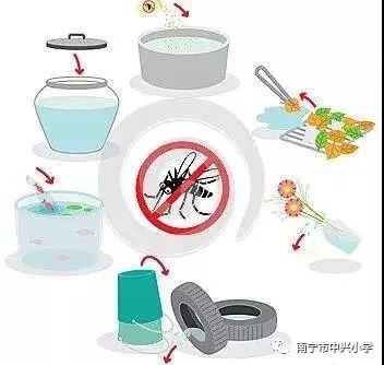 预防登革热致家长的一封信,通知家长做好预防登革热的通知