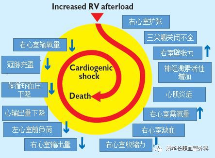 肺栓塞引起的肺动脉高压多久能好,肺栓塞缓解后肺动脉高压会缓解吗