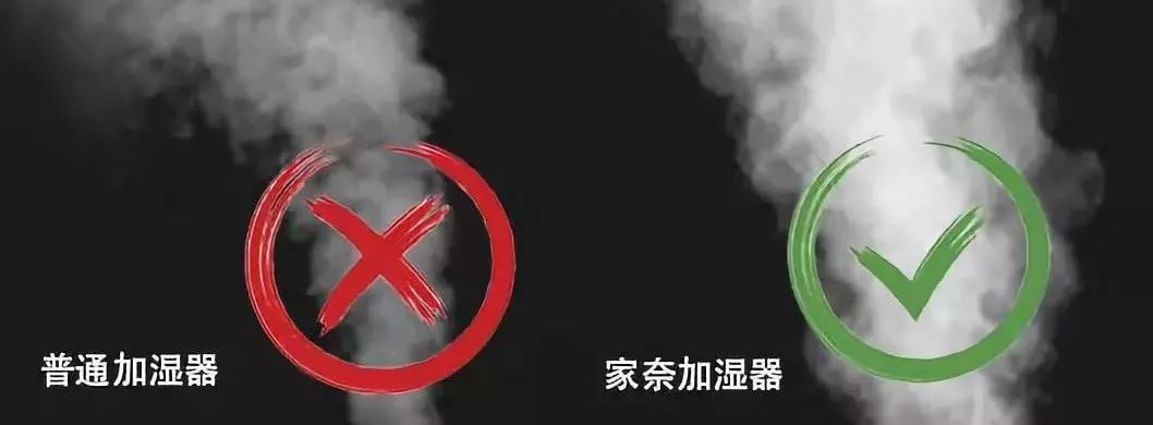 像艺术品的香薰加湿器，智能调节温度和雾量