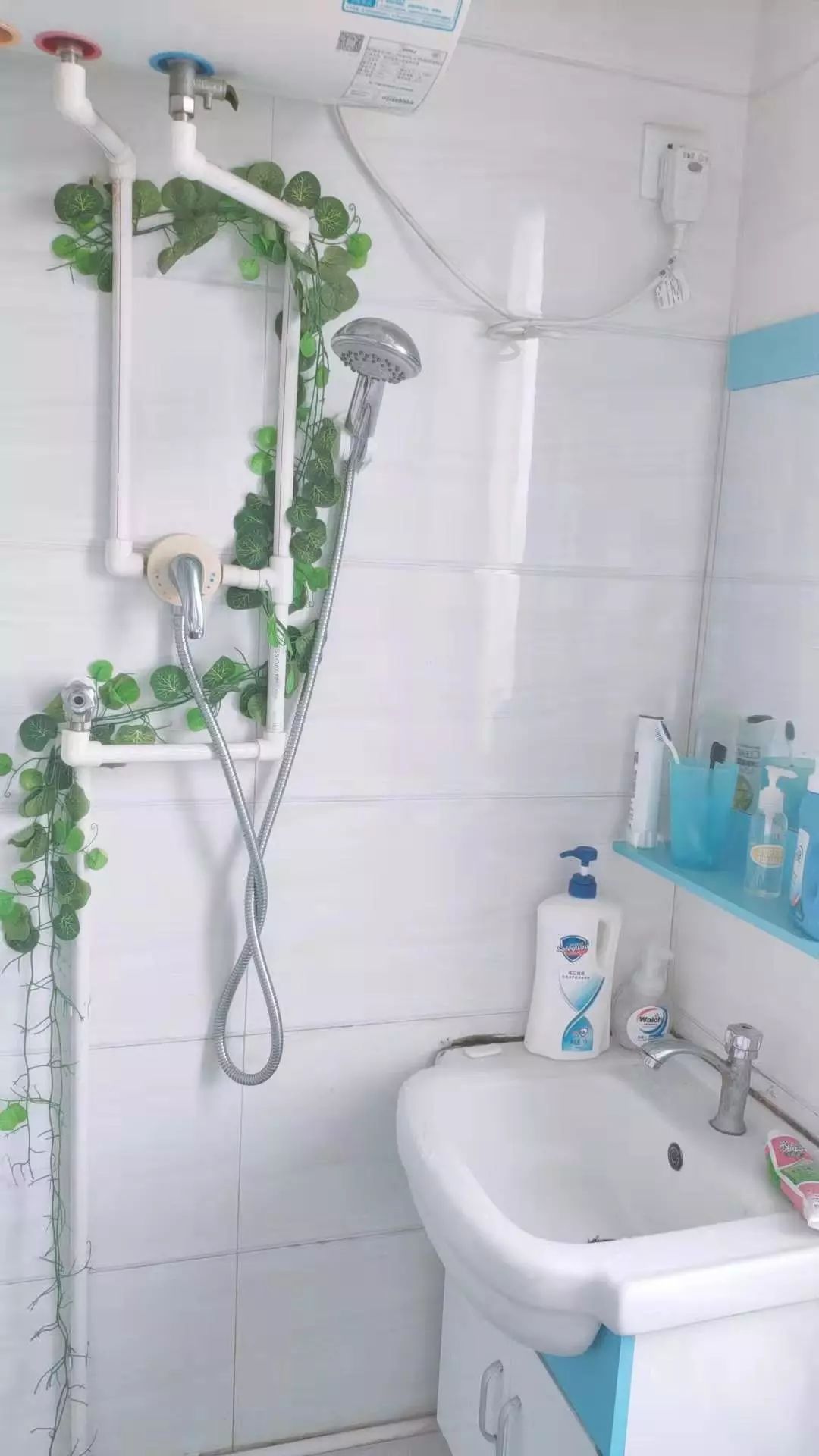 厦门最新租房1000元以下,厦门曾厝埯附近哪里租房比较便宜