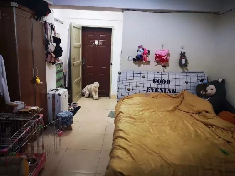 厦门最新租房1000元以下,厦门曾厝埯附近哪里租房比较便宜