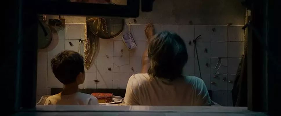 老鼠苍蝇蚊子蟑螂是人类的天敌吗,苍蝇蚊子蟑螂是保护动物吗