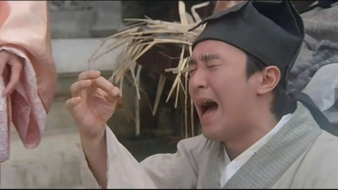 老鼠苍蝇蚊子蟑螂是人类的天敌吗,苍蝇蚊子蟑螂是保护动物吗