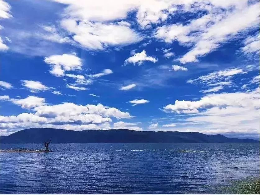 拉市海候鸟湿地公园在哪里,拉市海湿地公园和归来公社