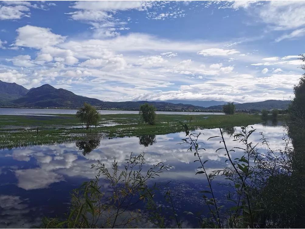 拉市海候鸟湿地公园在哪里,拉市海湿地公园和归来公社