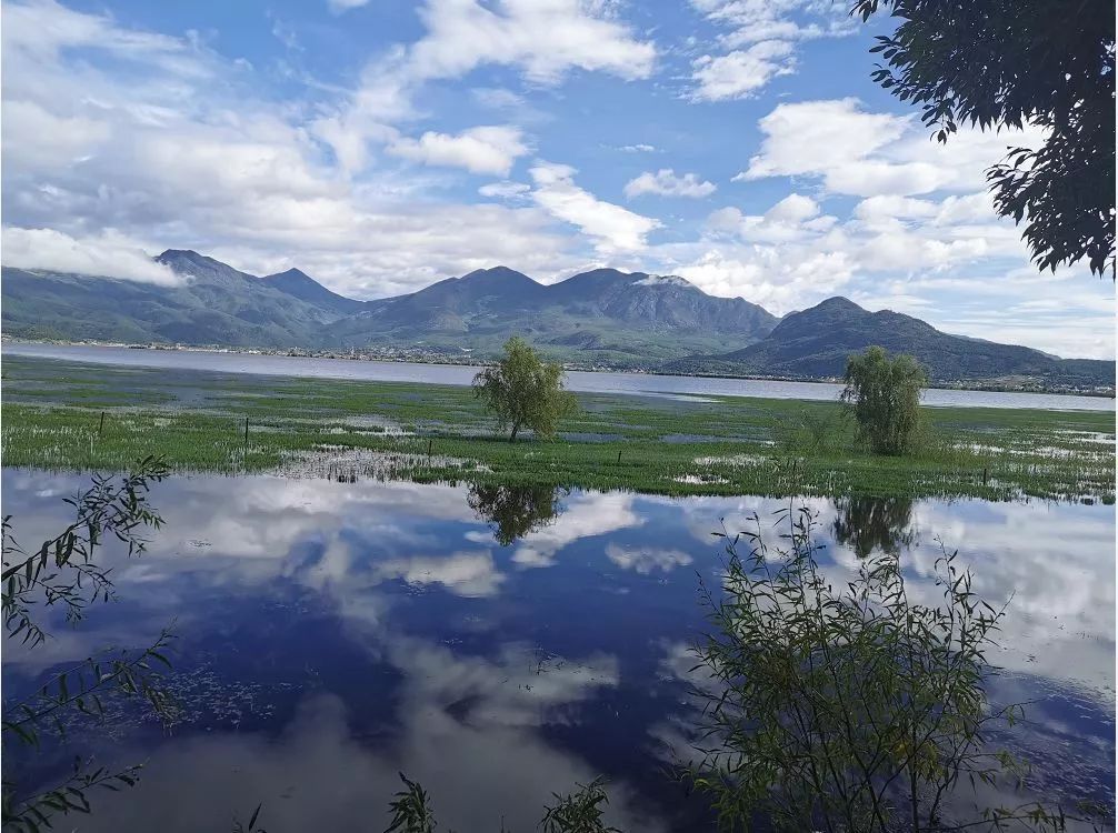 拉市海候鸟湿地公园在哪里,拉市海湿地公园和归来公社
