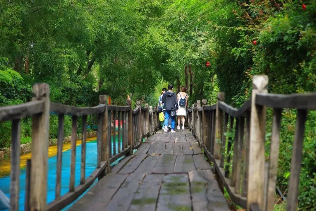 拉市海候鸟湿地公园在哪里,拉市海湿地公园和归来公社