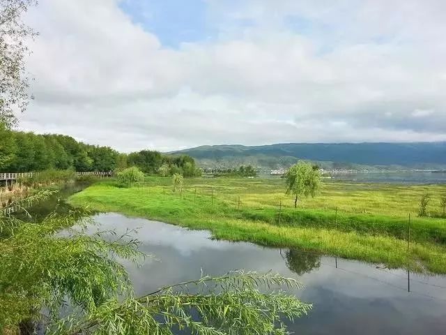 拉市海候鸟湿地公园在哪里,拉市海湿地公园和归来公社
