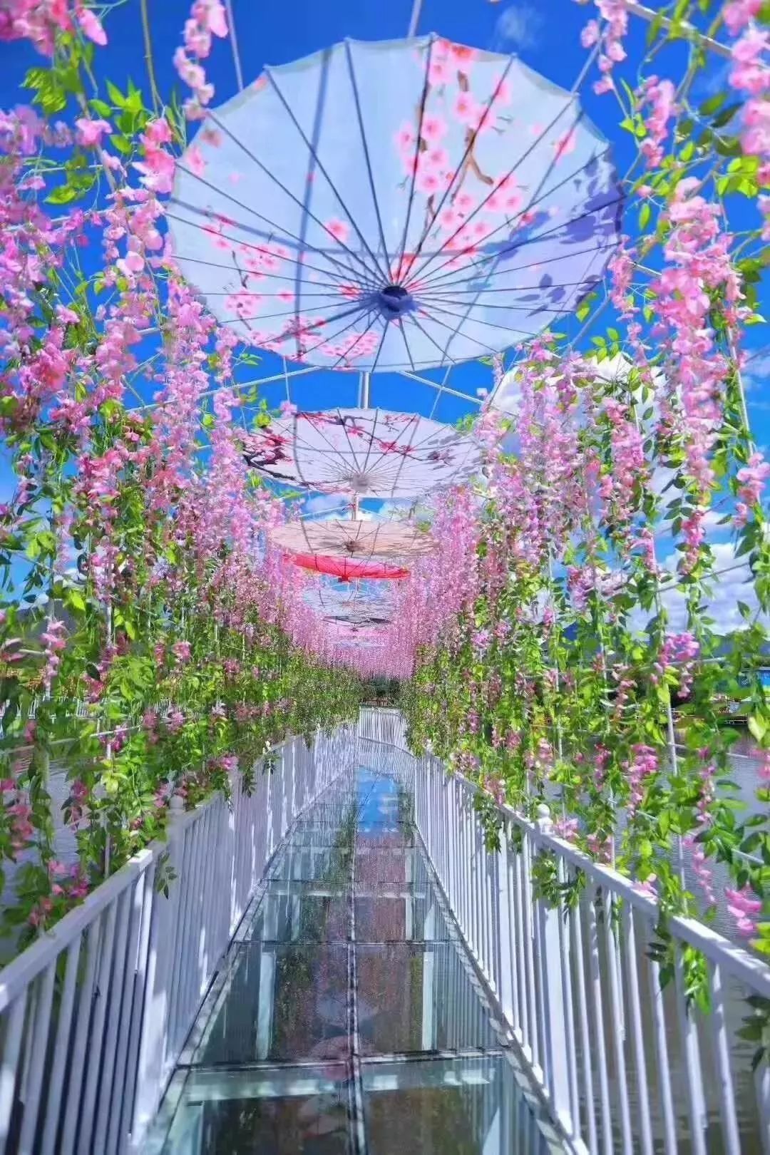 拉市海候鸟湿地公园在哪里,拉市海湿地公园和归来公社