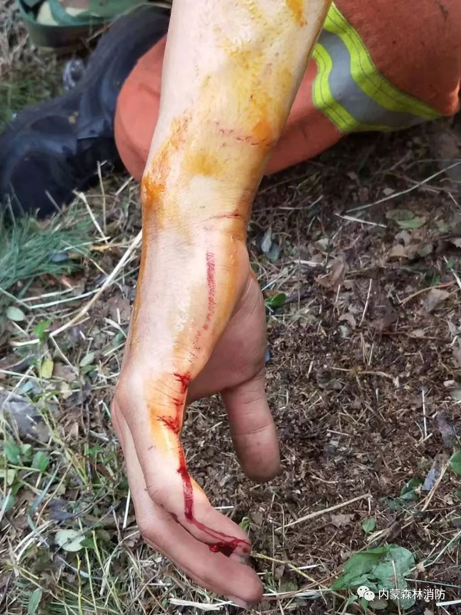 森林消防员主题教育学习心得体会,森林消防队伍如何强化使命责任感